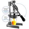 Professional Citrus Juicer Set - 7 Pieces Heavy Duty Iron Commercial Juicer with Glass Juice Bottle and Funnel - gray - steel